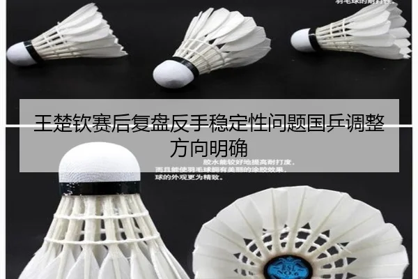 王楚钦赛后复盘反手稳定性问题国乒调整方向明确